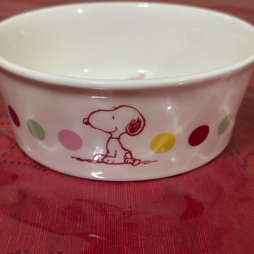Peanuts Snoopy Pet Bowl collection